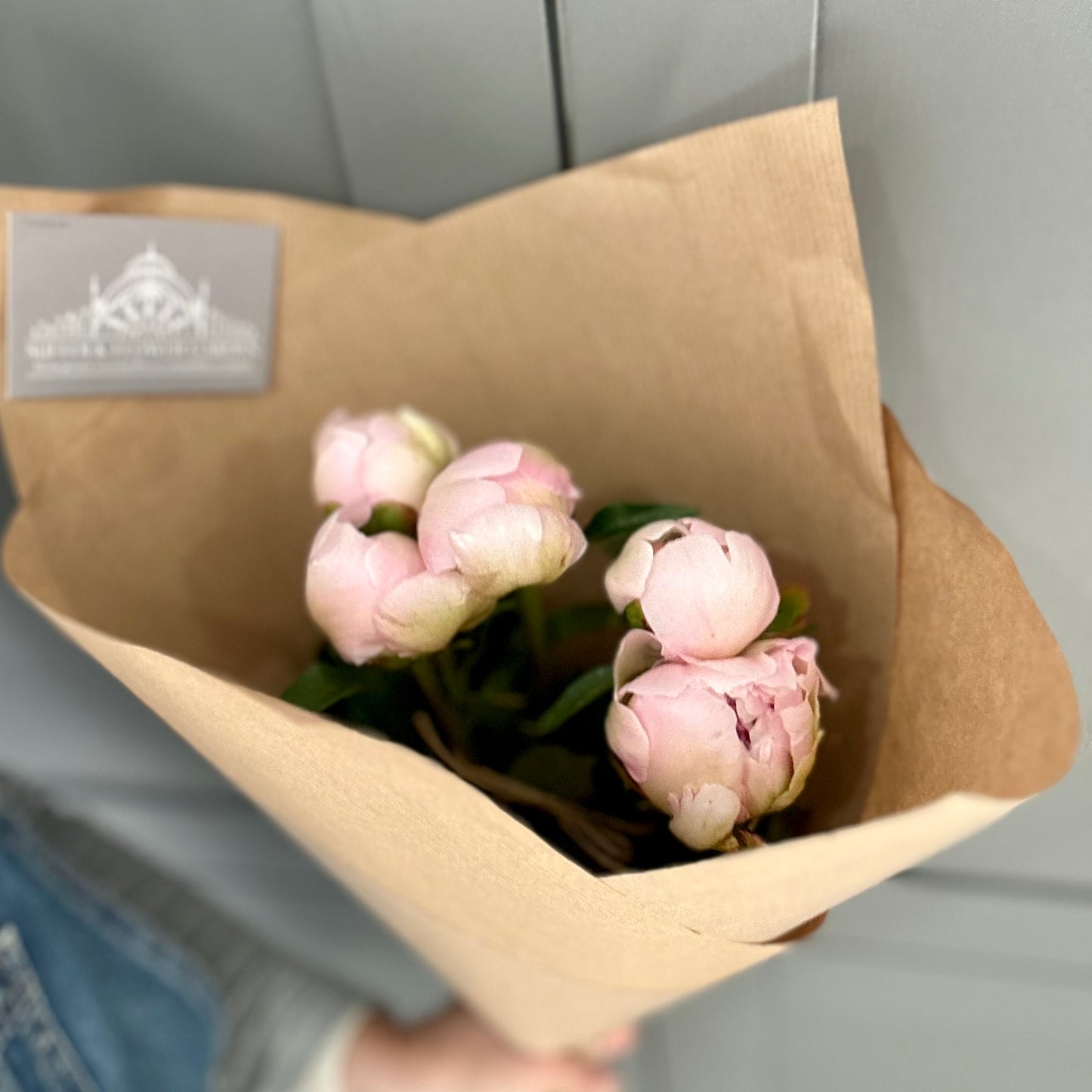 Peonies - Free Delivery Friday