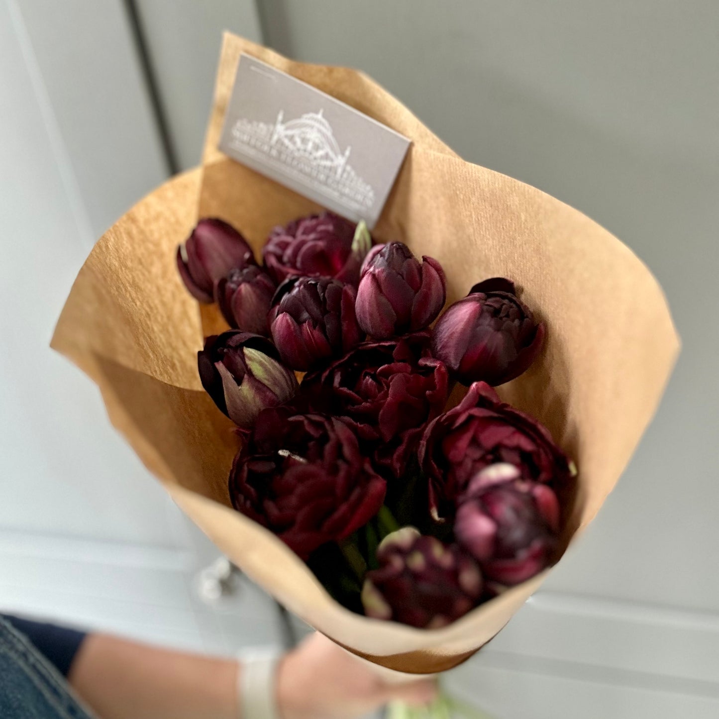 Friday Flowers - Tulips
