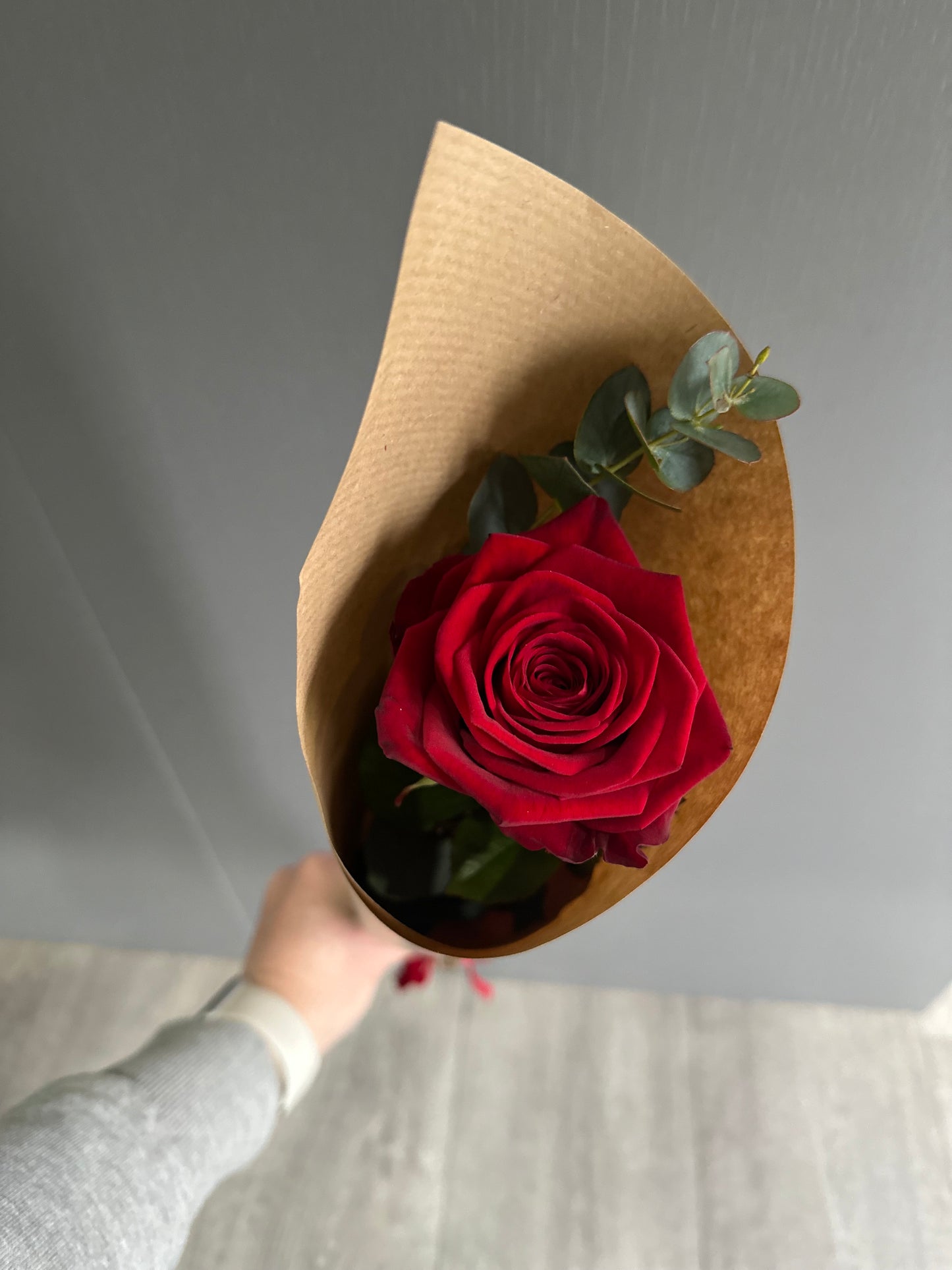 Valentines Collection - Single Red Rose