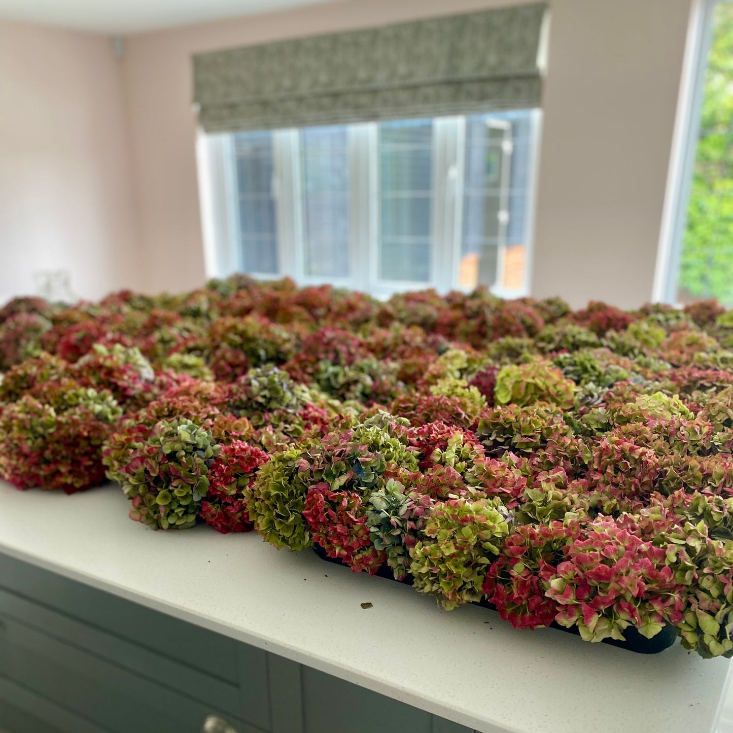 Dried Hydrangea Wreath Workshop
