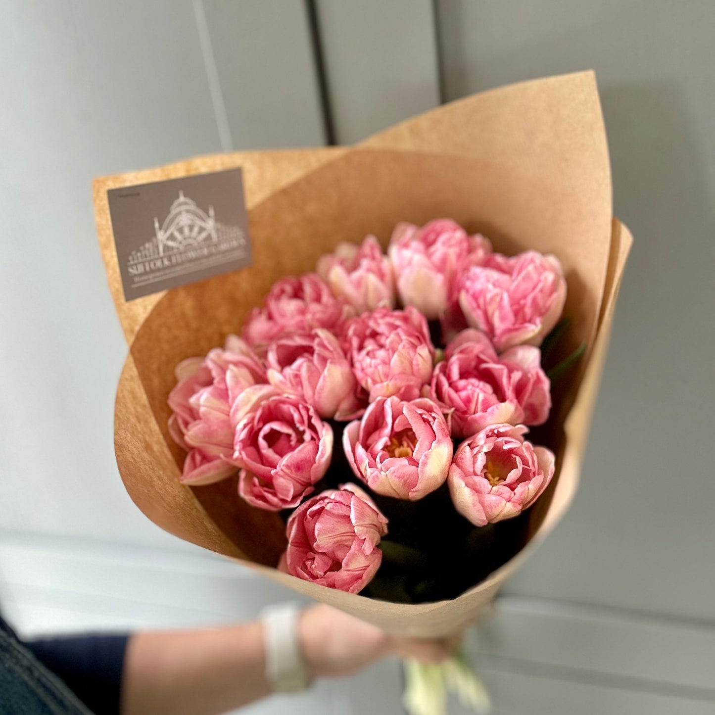 Friday Flowers - Tulips