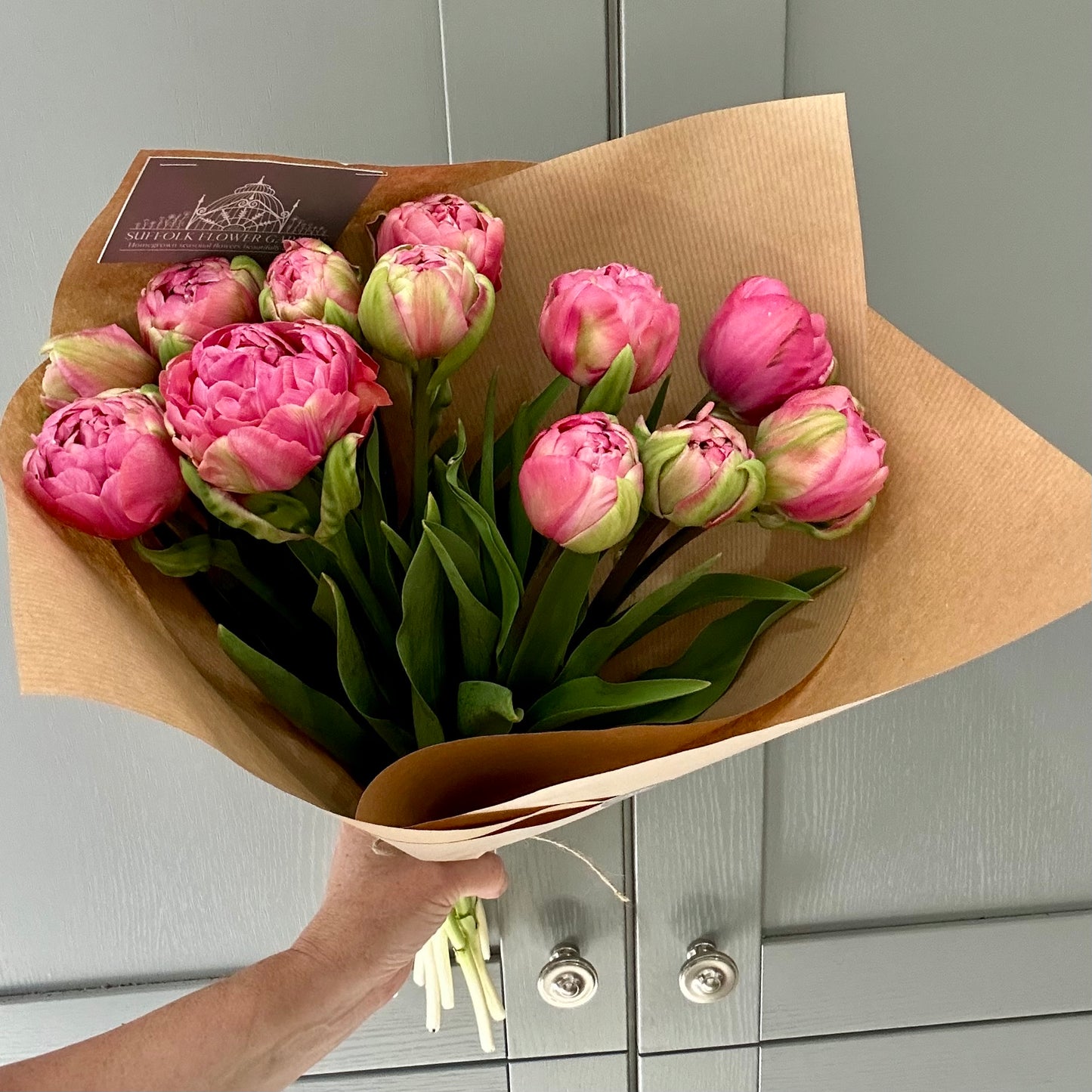 Homegrown British Double Tulips Rose Pink