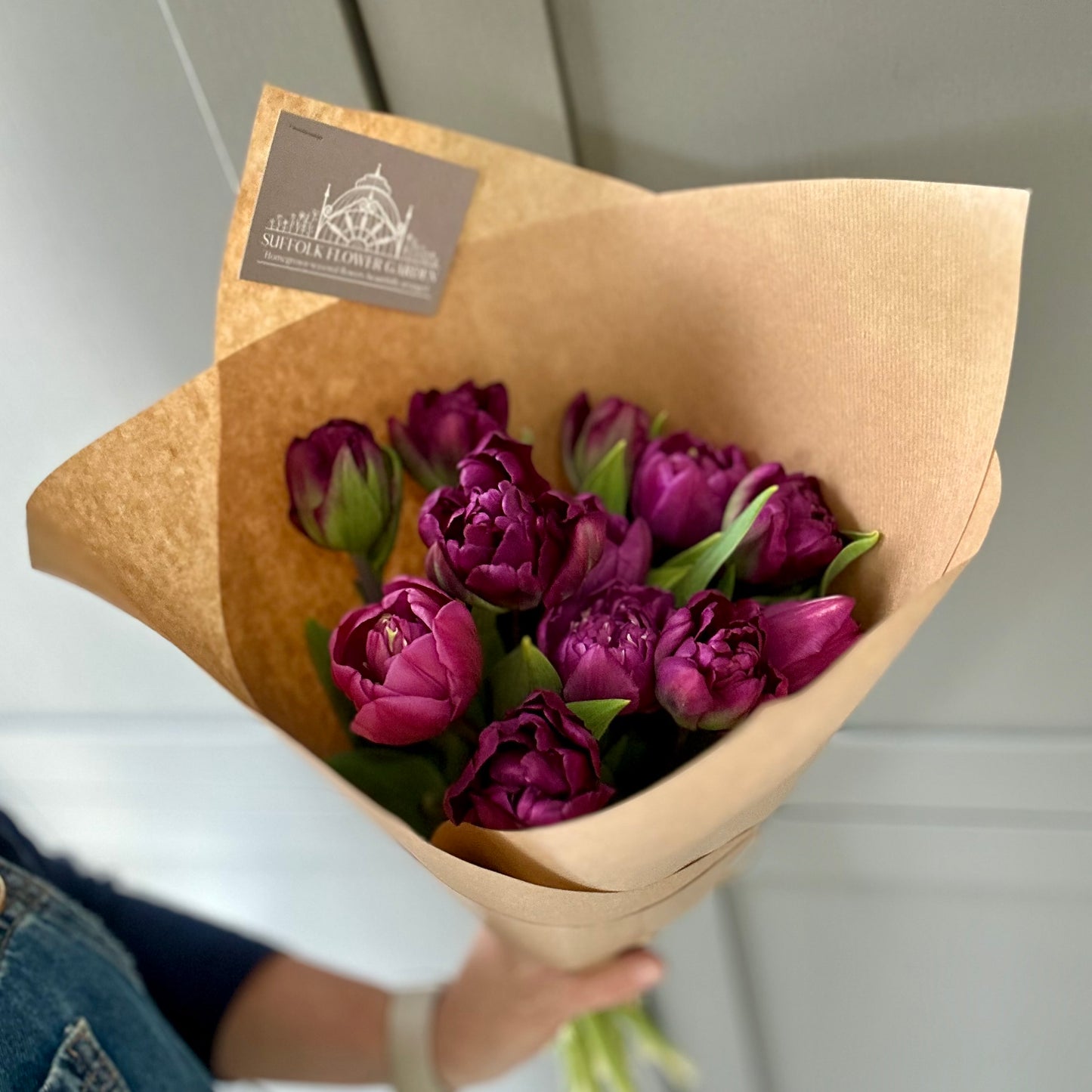 Friday Flowers - Tulips