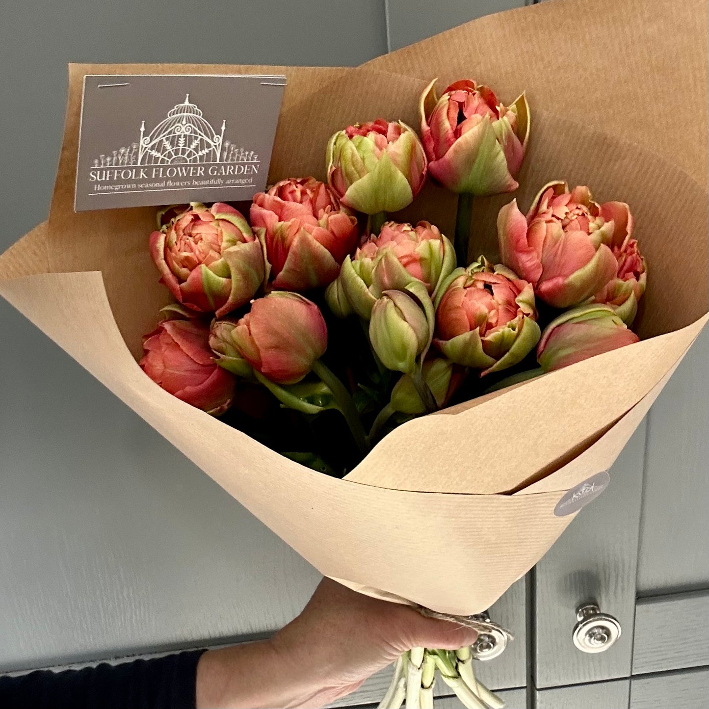 Homegrown British Double Tulips Coral