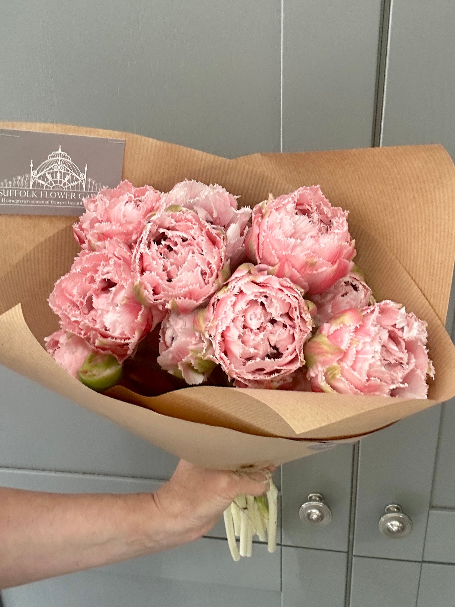 Homegrown British Double Tulips Peony Pink