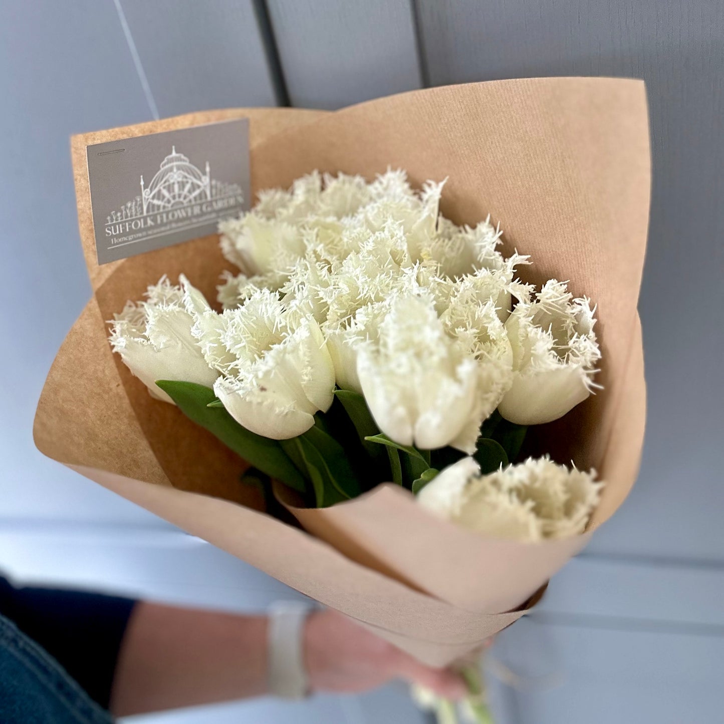 Friday Flowers - Tulips