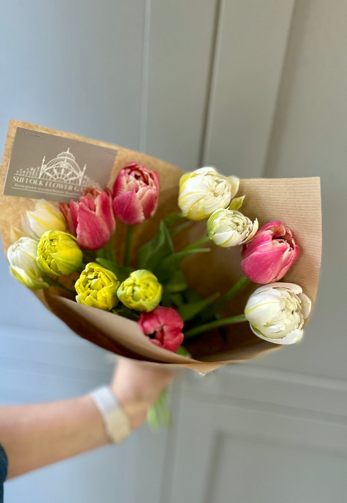 Easter Collection - British Double Tulips