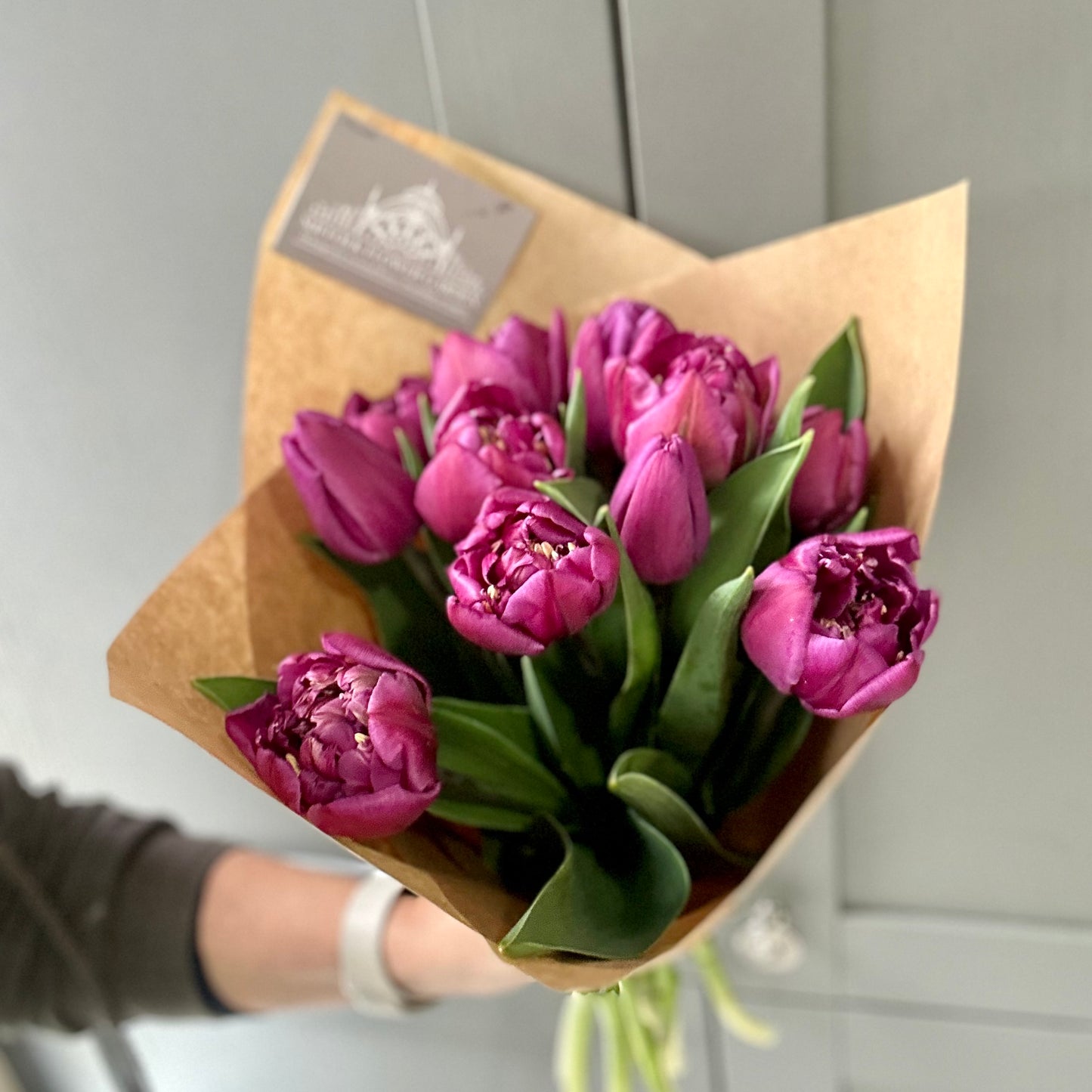 Friday Flowers - Tulips