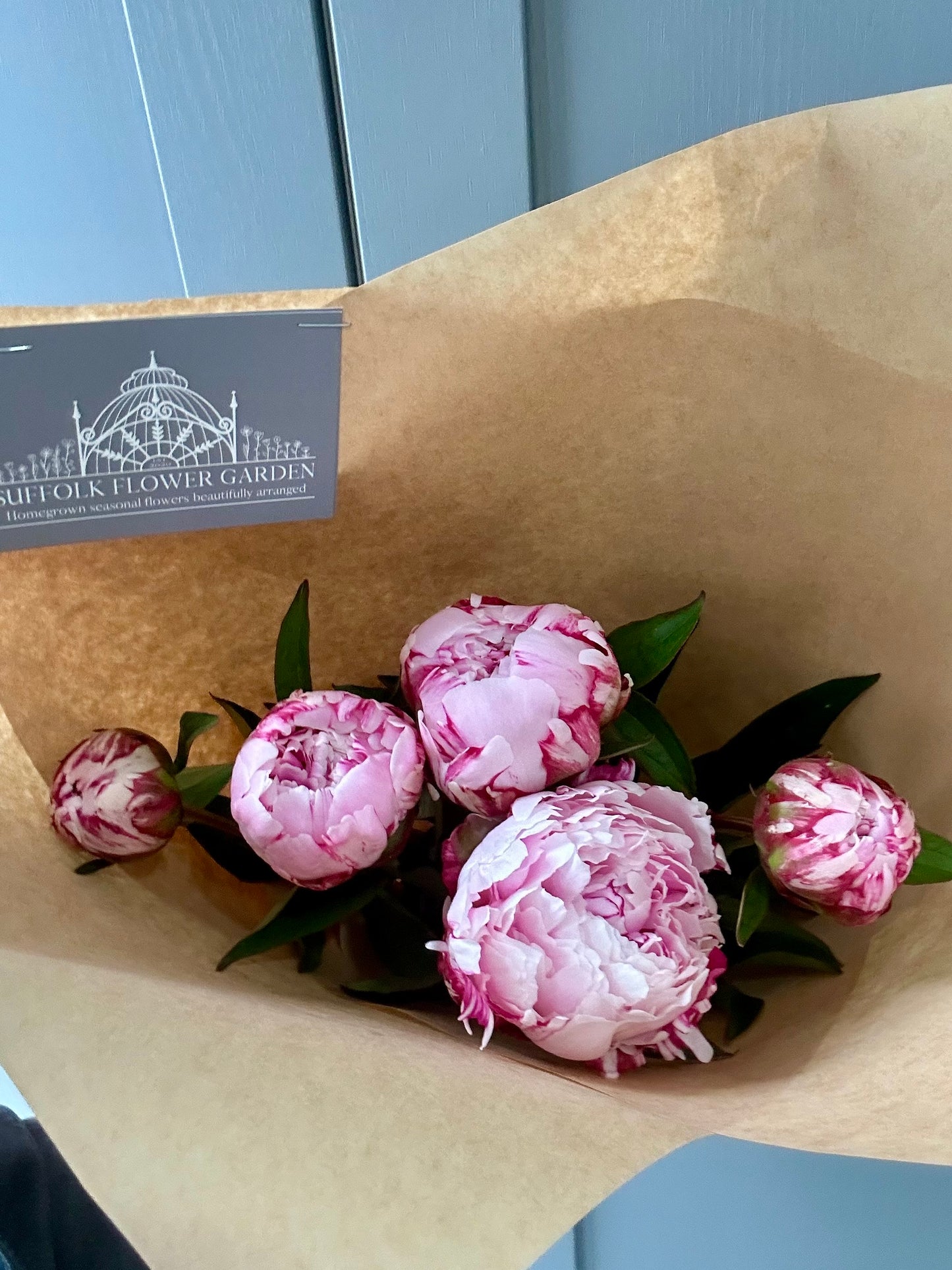 Peonies - Free Delivery Friday