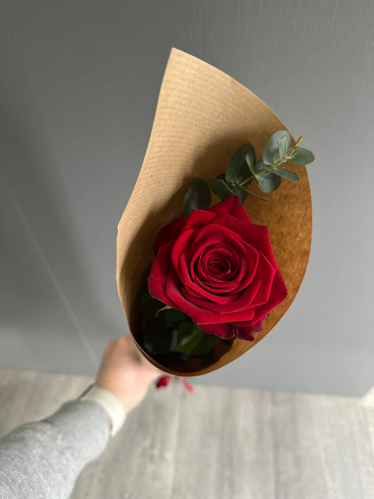 Valentines Collection - Single Red Rose