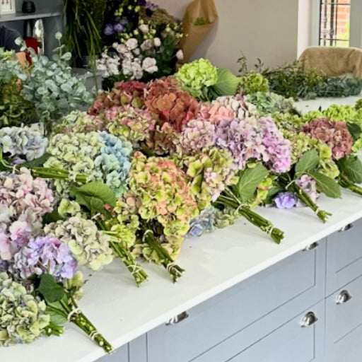 Dried Hydrangea Wreath Workshop
