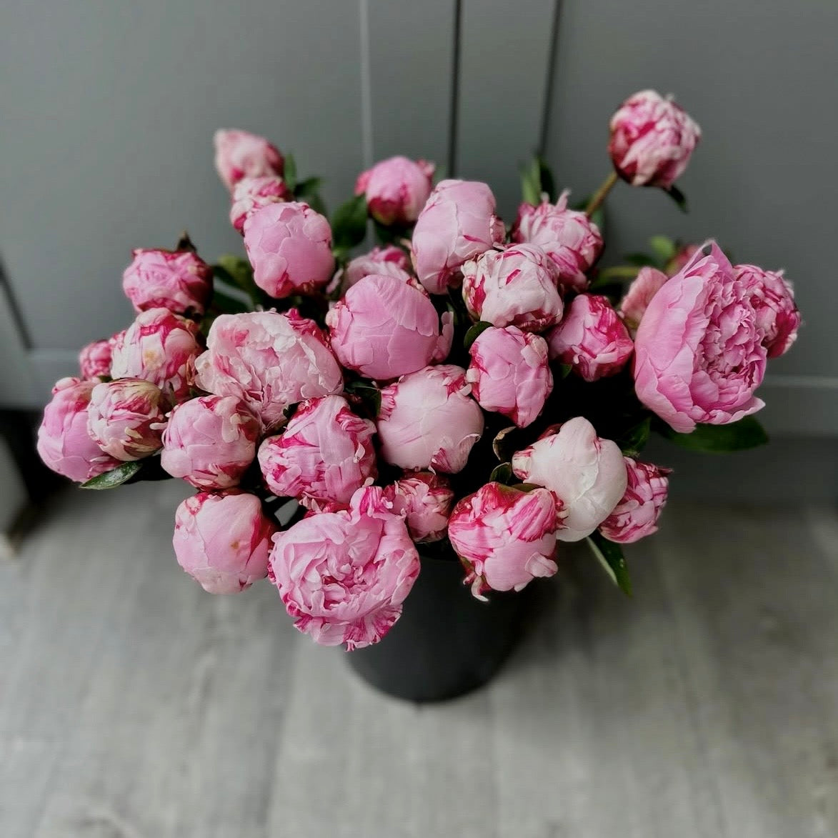 Pre order British Peonies for Friday 5th June