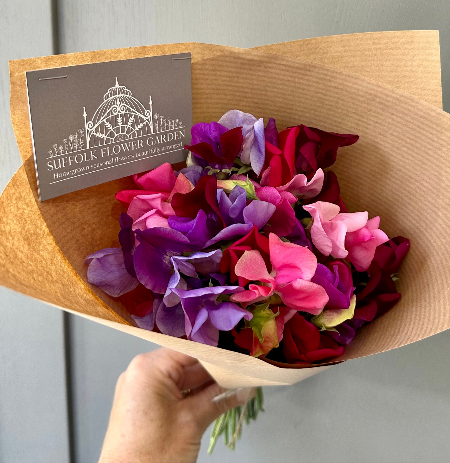 Sweet Peas