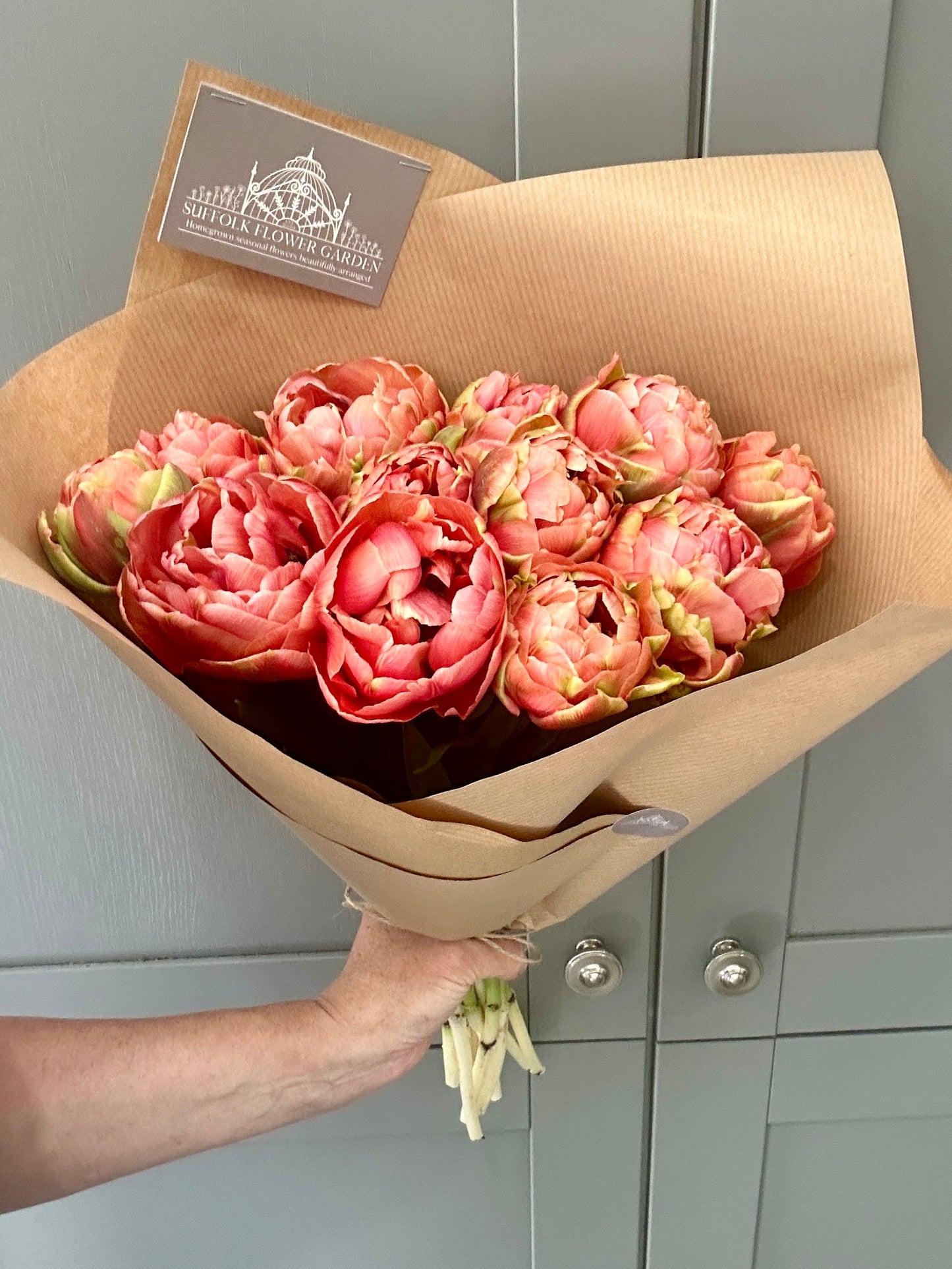 Homegrown British Double Tulips Coral