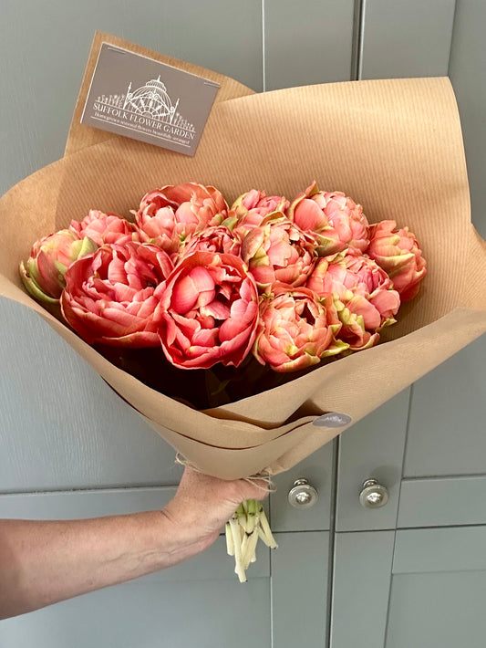 Homegrown British Double Tulips Coral
