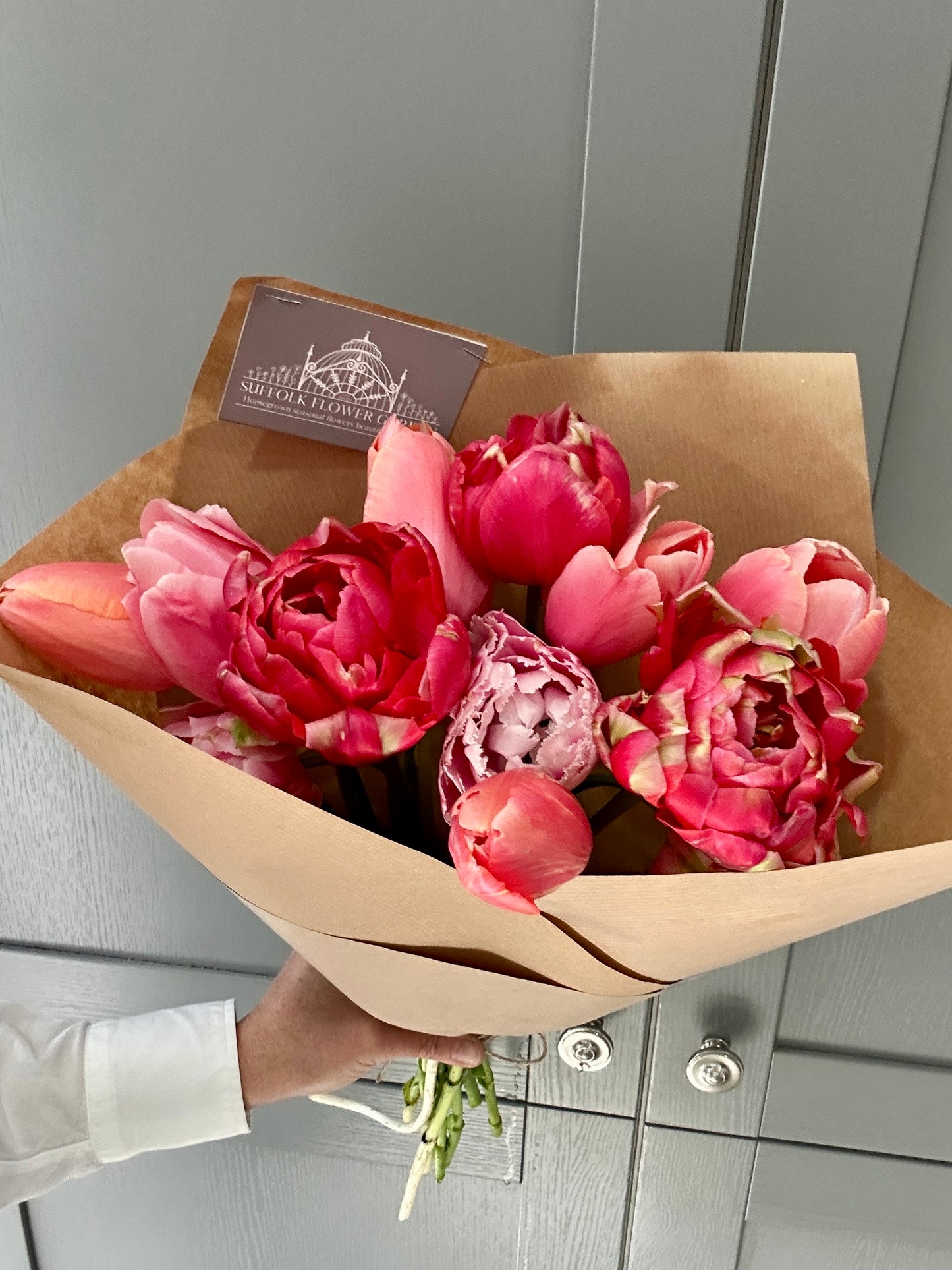 Homegrown British Double Tulips - Peach Melba
