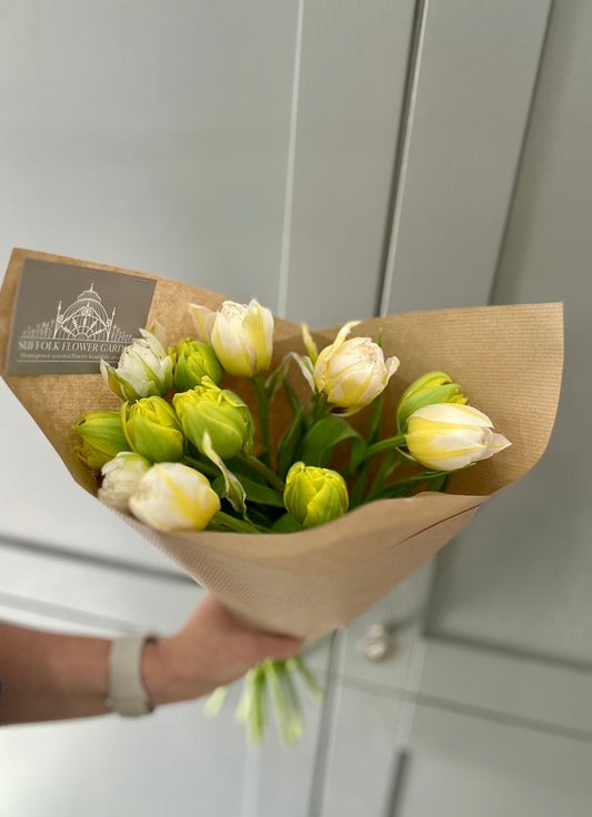 Easter Collection - British Double Tulips