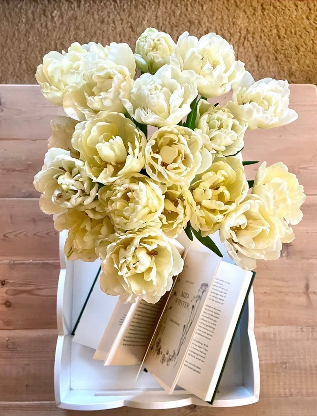 Easter Collection - British Double Tulips