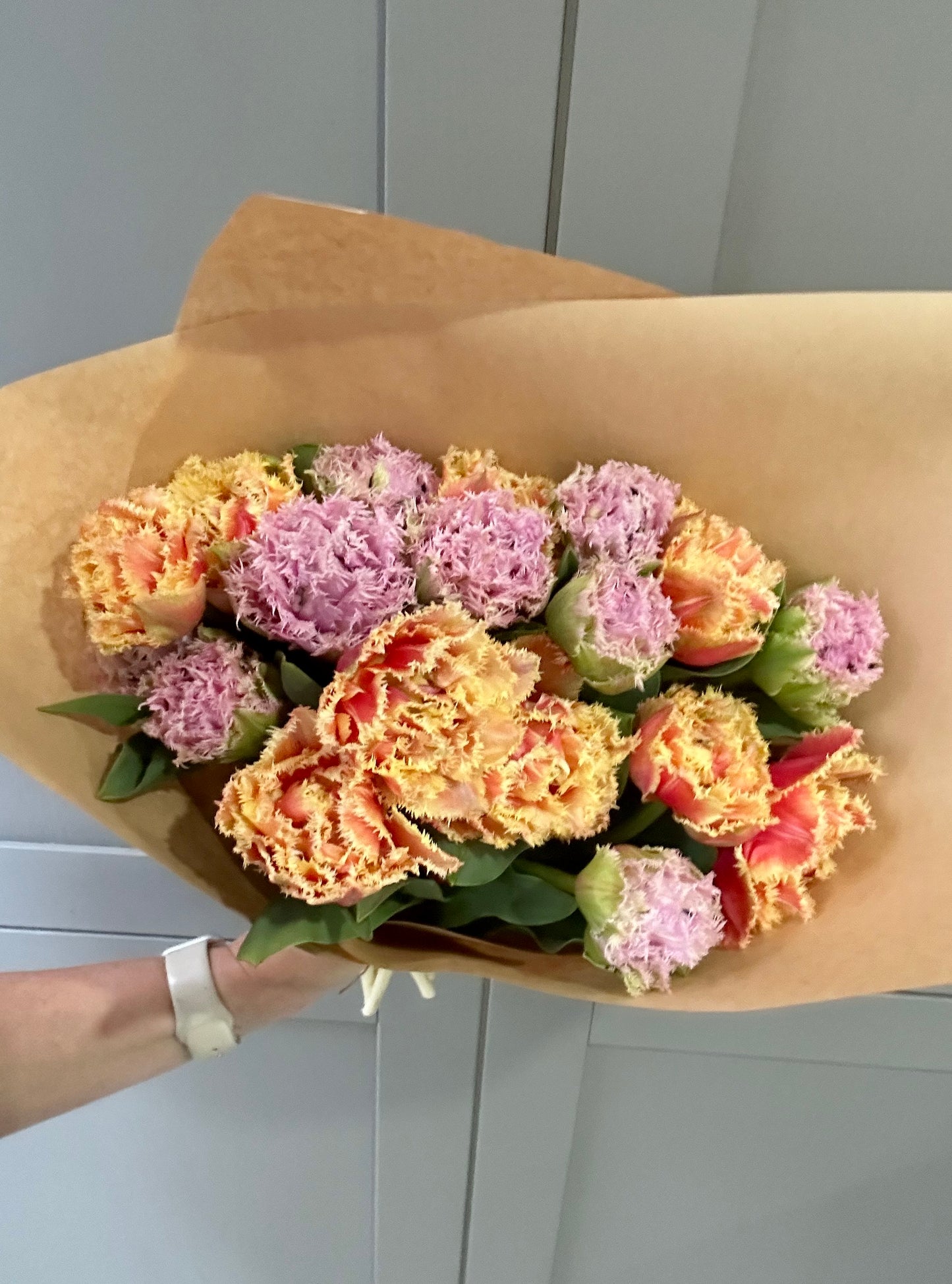 Pink & Peach Fringe Tulips