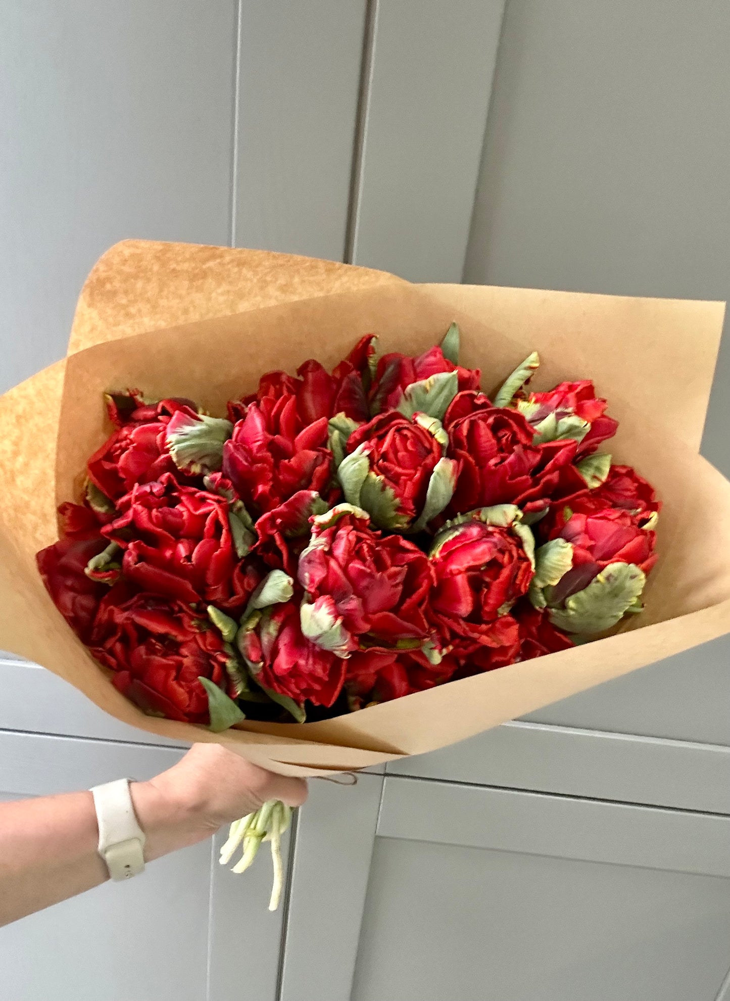 Red Parrot Tulips