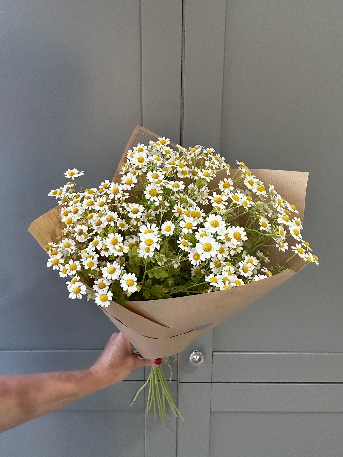 Friday Flowers Feverfew Daisies - Free Delivery