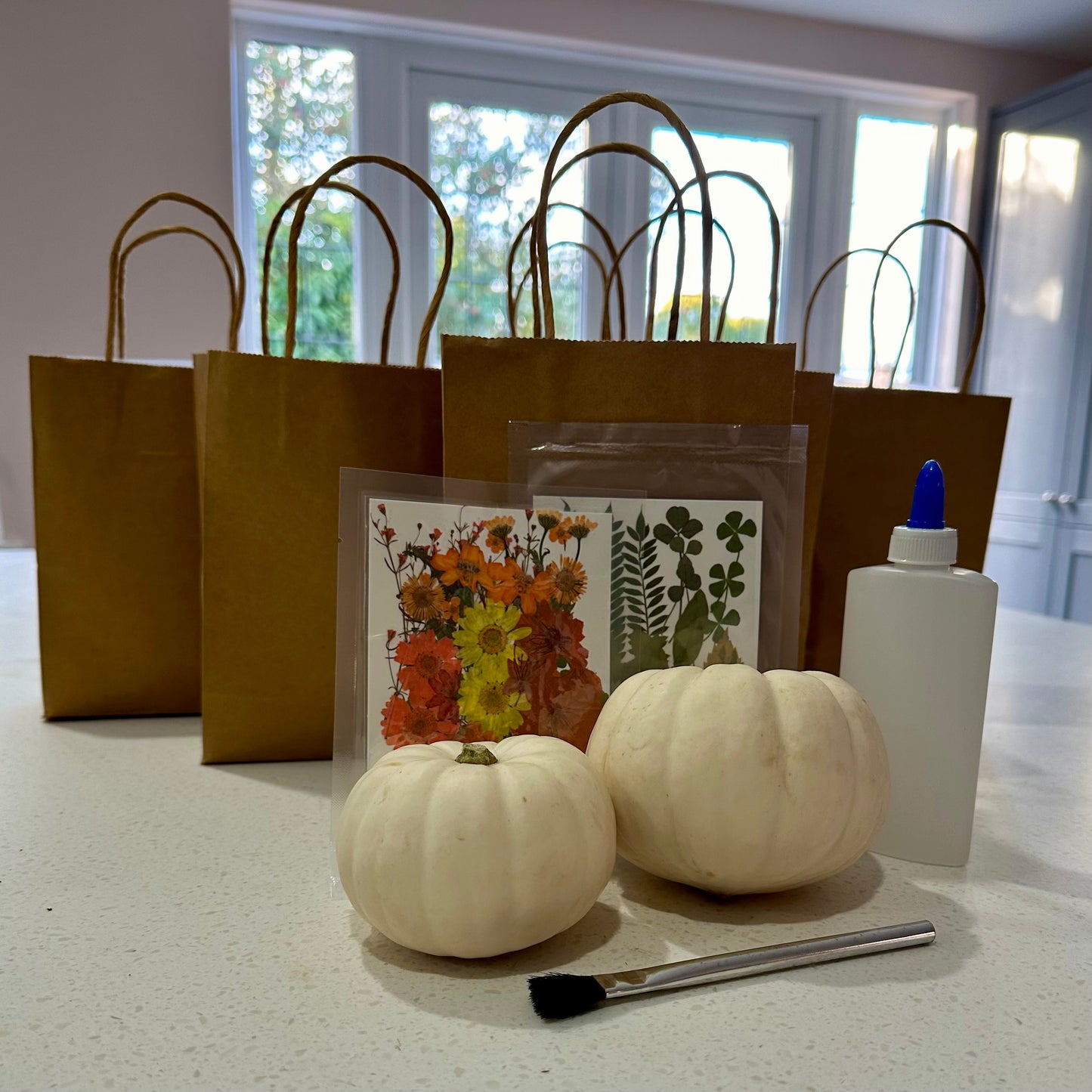 Botanical Pumpkin Kits