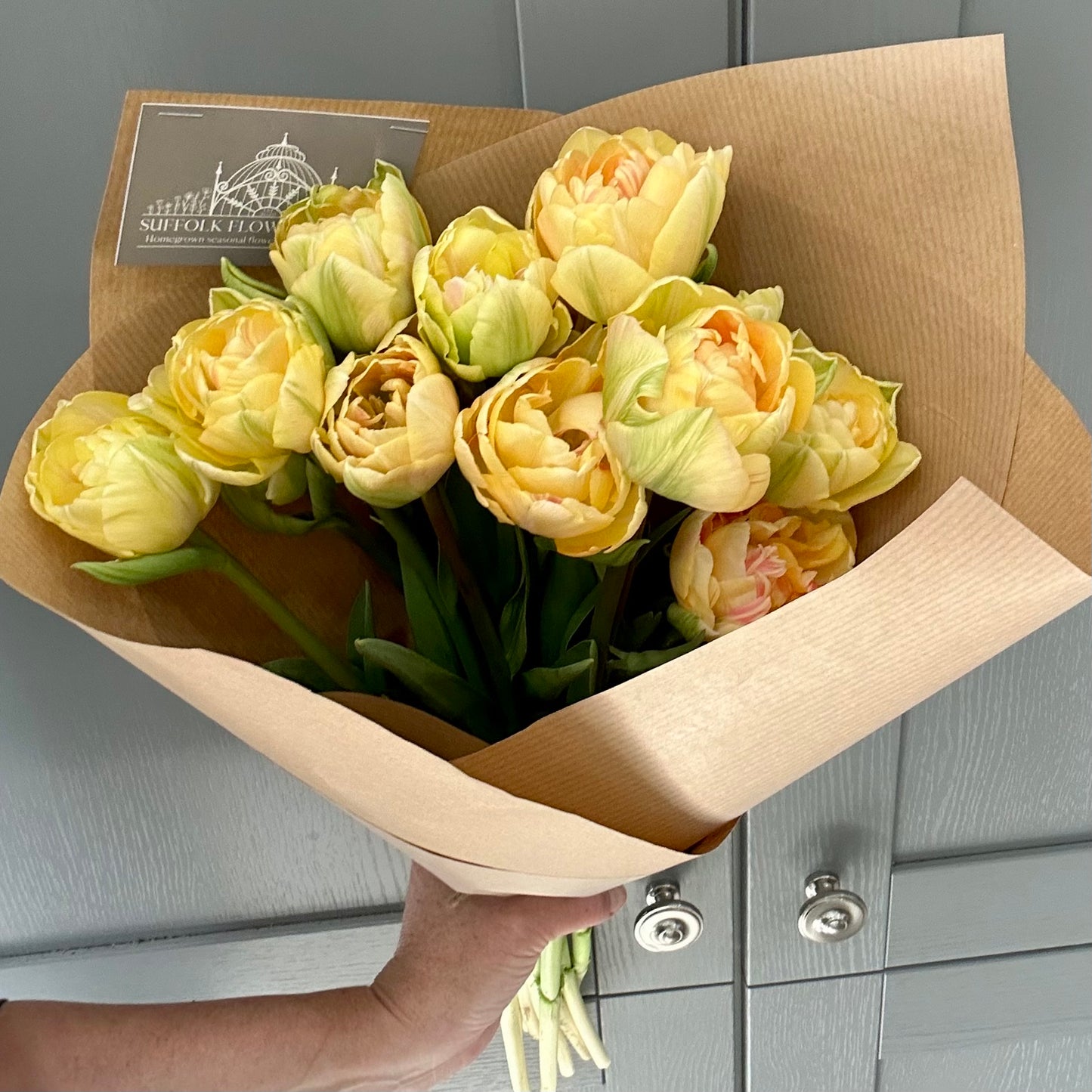 Homegrown British Double Tulips Lemon