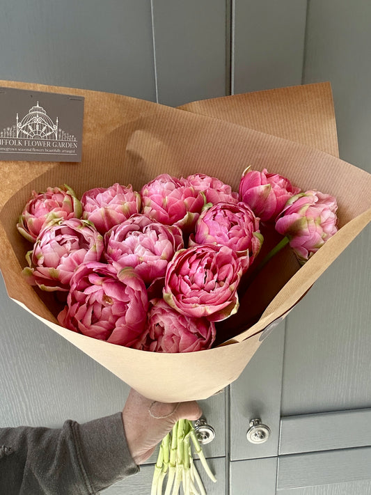 Homegrown British Double Tulips Rose Pink