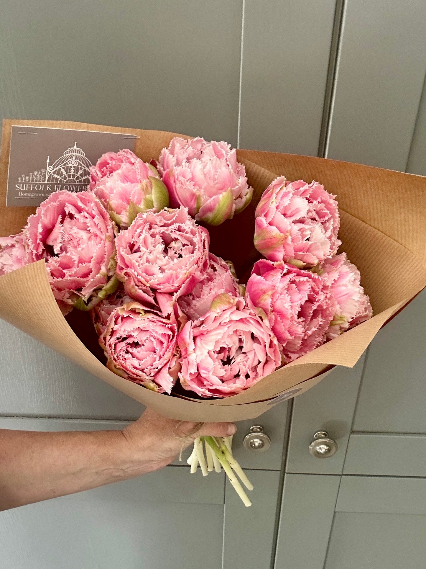 Homegrown British Double Tulips Peony Pink