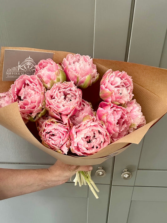 Homegrown British Double Tulips Peony Pink